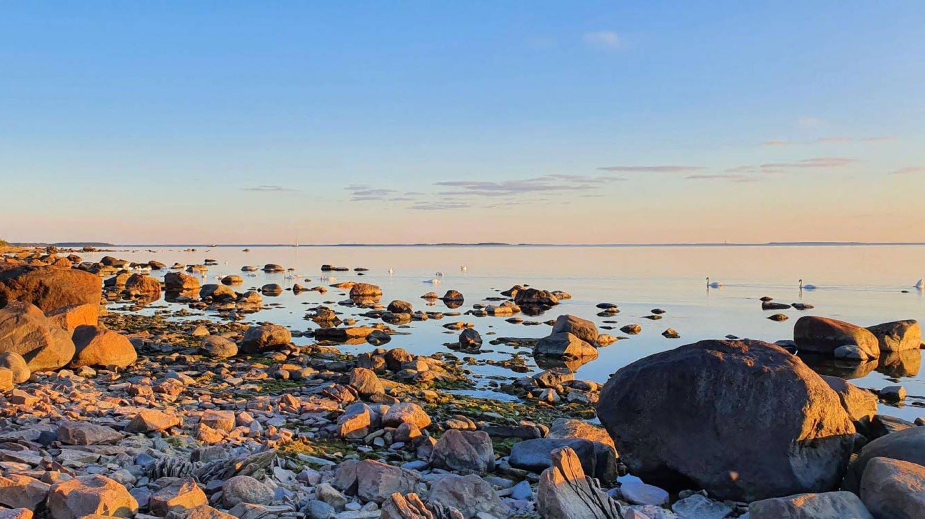 Rantakuva Mäntyluodosta