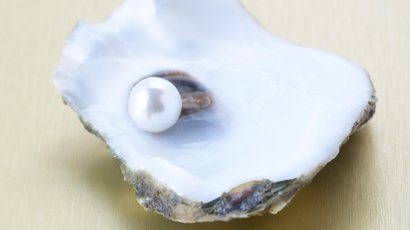 Helmi avatussa simpukassa.