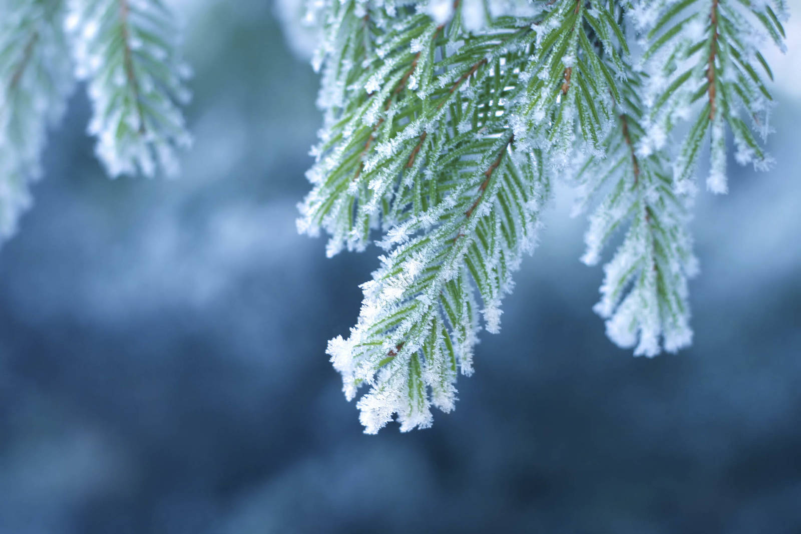 OP Janakkalan asiakastapahtumat